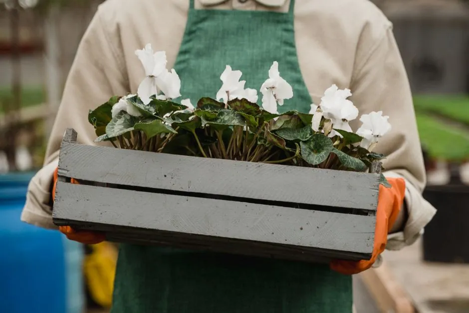 Jardin pavillonnaire amenage par Mille Paysages